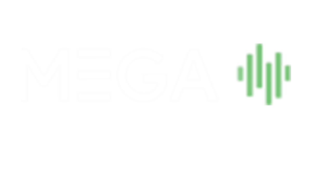 MEGA International